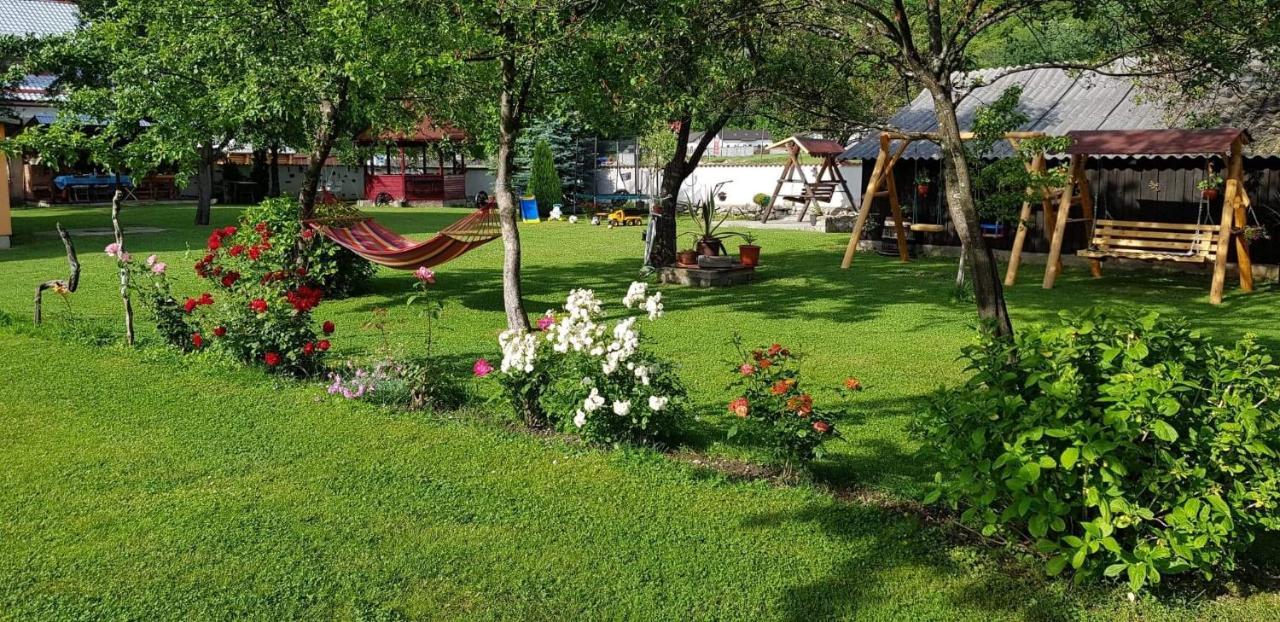 Pensiunea Miraj Polovragi Exterior foto