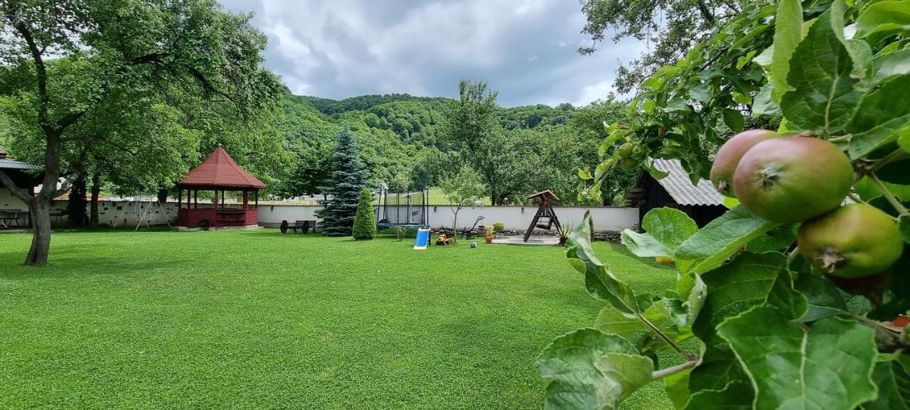 Pensiunea Miraj Polovragi Exterior foto
