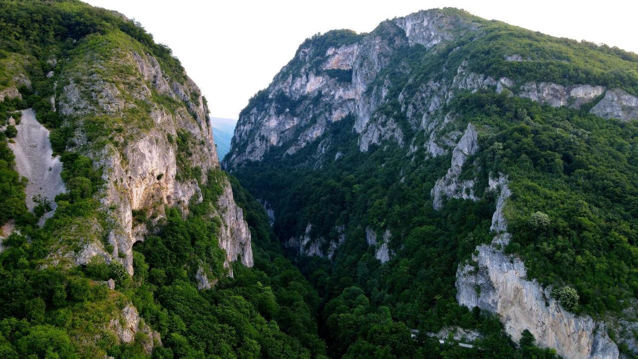 Pensiunea Miraj Polovragi Exterior foto