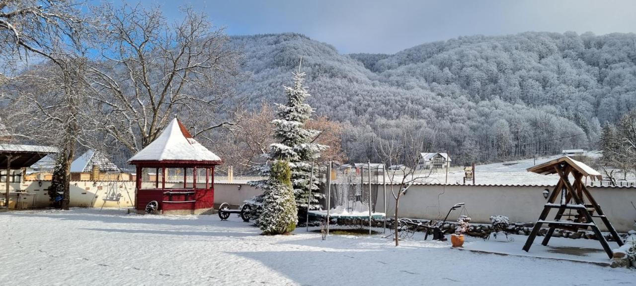 Pensiunea Miraj Polovragi Exterior foto
