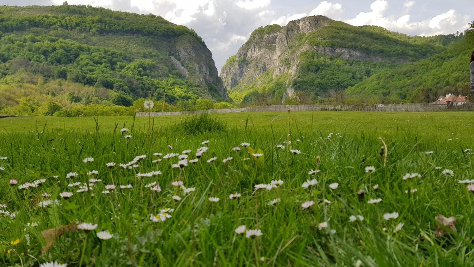 Pensiunea Miraj Polovragi Exterior foto