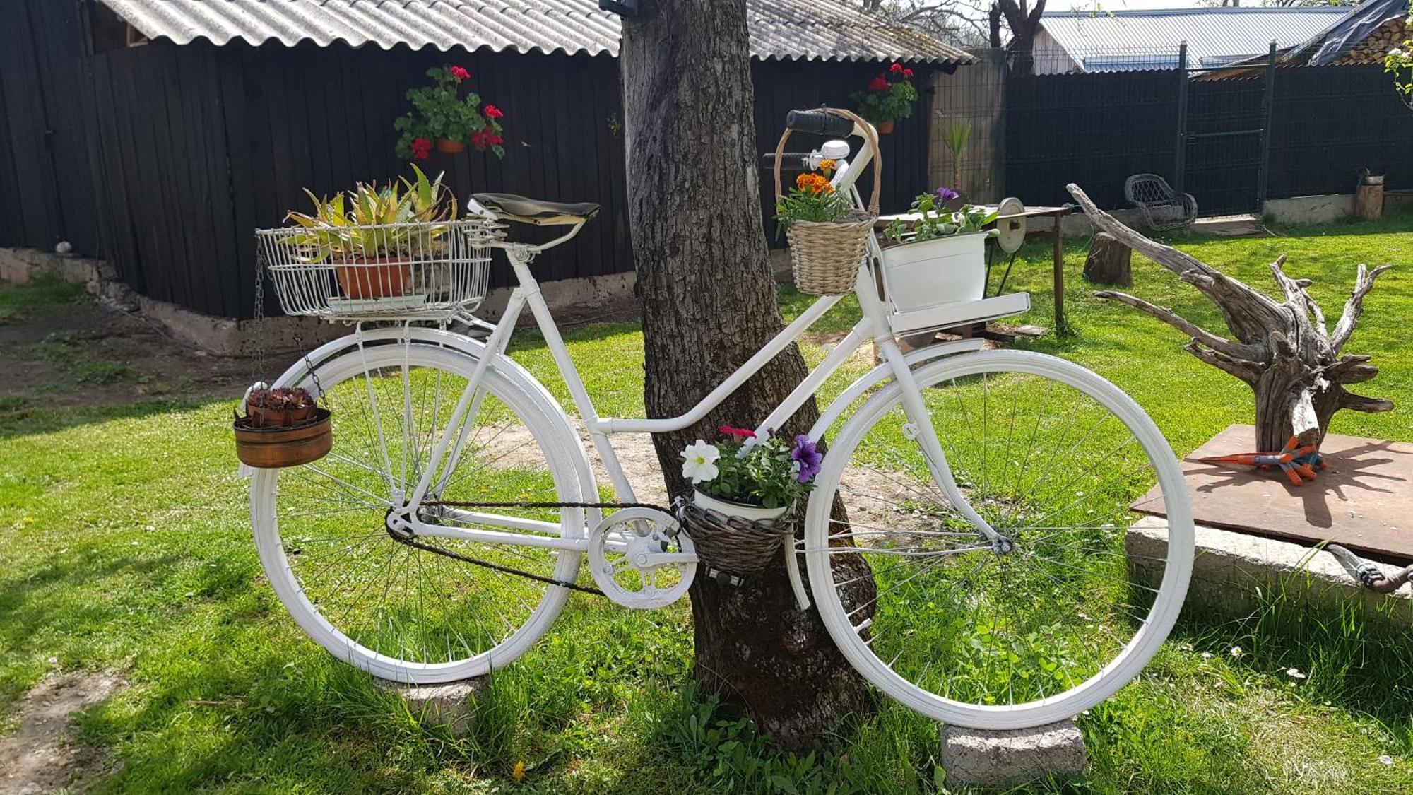 Pensiunea Miraj Polovragi Exterior foto
